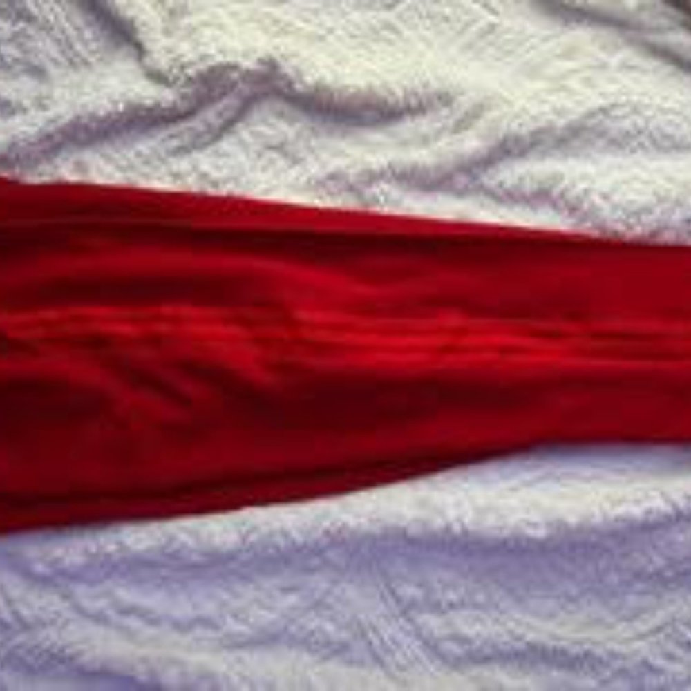 IVY PARK x Adidas - red sweat pants